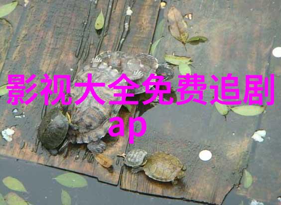 视频非你莫属海归女叫板张绍刚 众明星微博力挺刘俐俐