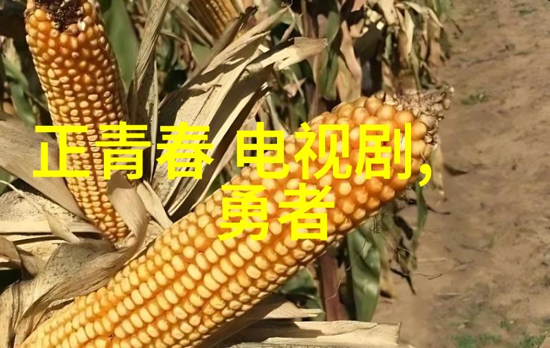 画江湖之不良人第二季结局神反转 网友大呼被骗