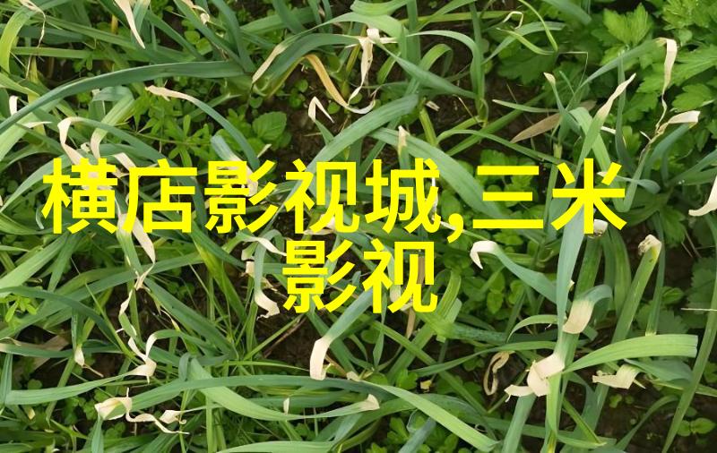 视频阮经天自曝是心中女神 澄清爱的微博不是求婚