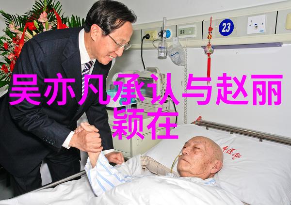 陈赫胡夏叶思齐杨幂那些被演戏耽误的职业玩家