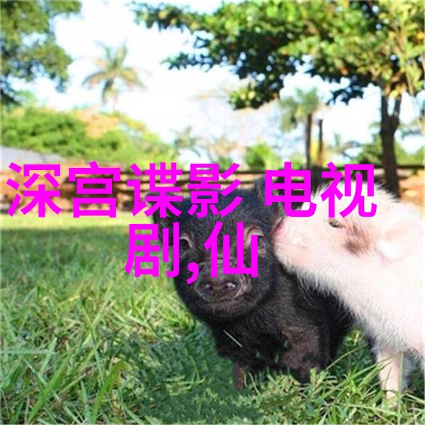 青春斗男一究竟是谁赵宝刚三年前定下高泰宇
